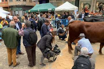 Los Llanos celebra el día grande de sus fiestas (Foto TA)
